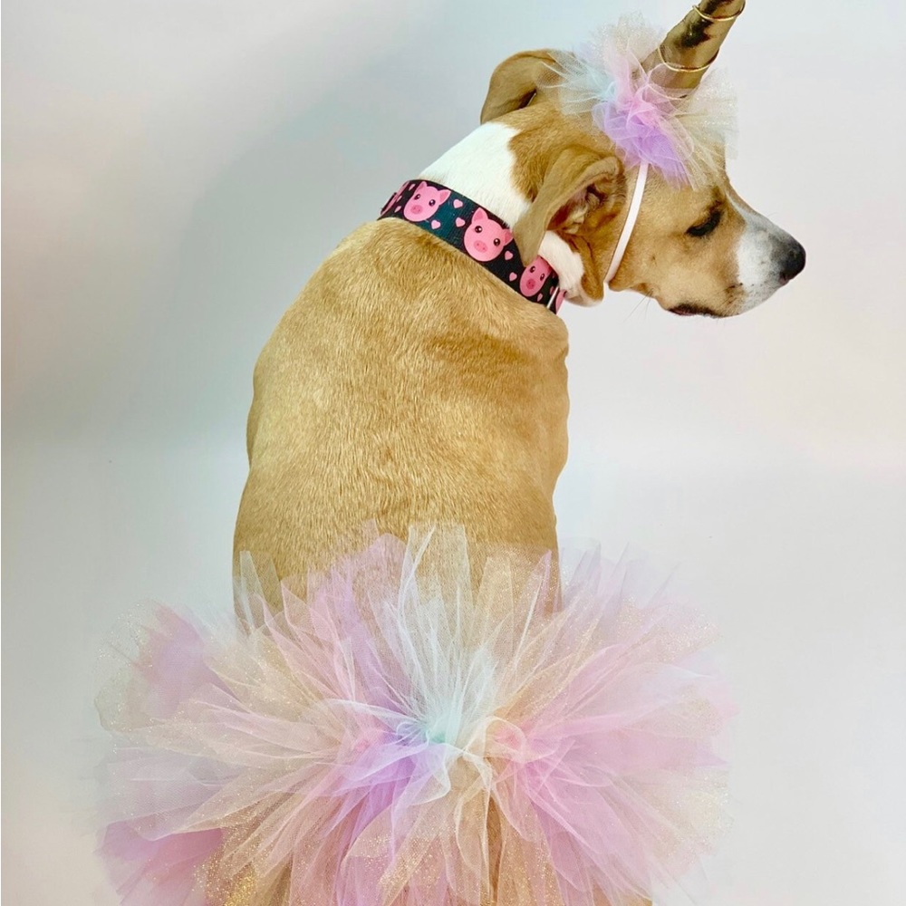 Dog Unicorn Costume - Picture 2 of 7